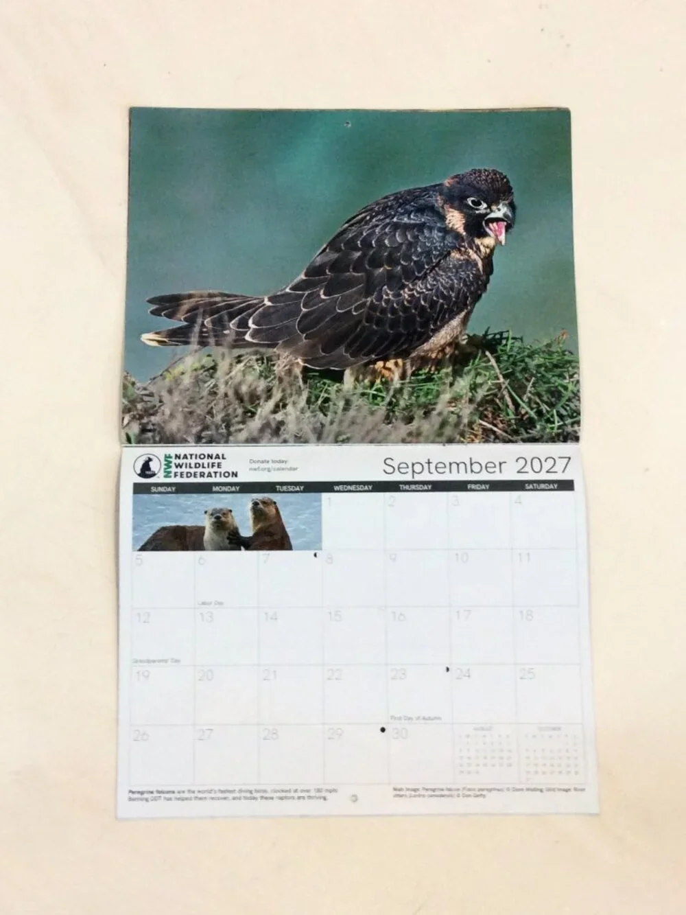 National Wildlife Federation 2026-2027 18-Month Calendar
